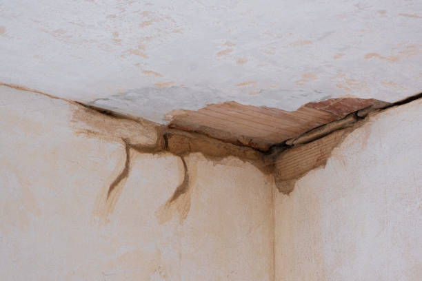 Best Flooded house restoration  in Sutton Alpine, AK