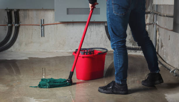 Best Commercial water damage restoration  in Sutton Alpine, AK