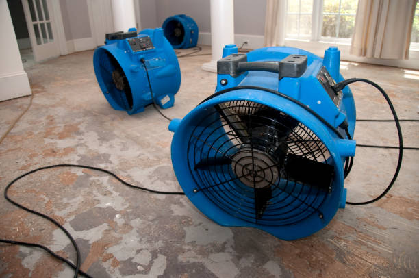 Trusted Sutton Alpine, AK Water damage restoration Experts