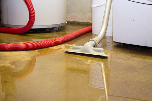Best Flood restoration services  in Sutton Alpine, AK