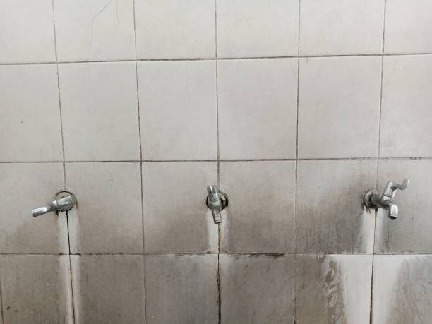 Best Ceiling water damage repair  in Sutton Alpine, AK