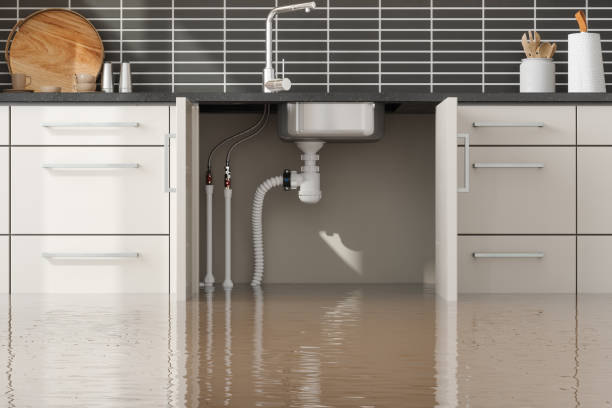 Sutton Alpine, AK Water damage restoration Company