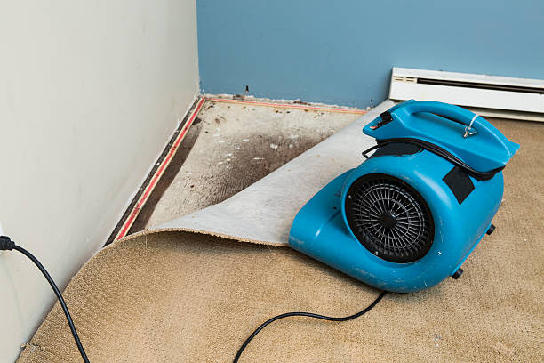 Water damage restoration insurance claims in Sutton Alpine, AK
